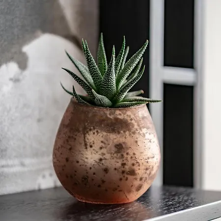 ホテル シュトゥットガルト マリオット ジンデルフィンゲン