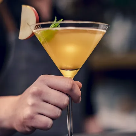 酒店 斯图加特辛德芬根万豪酒店 辛德尔芬根